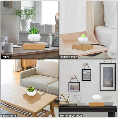 Magic Floating Flower Pot