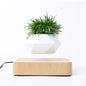 Magic Floating Flower Pot